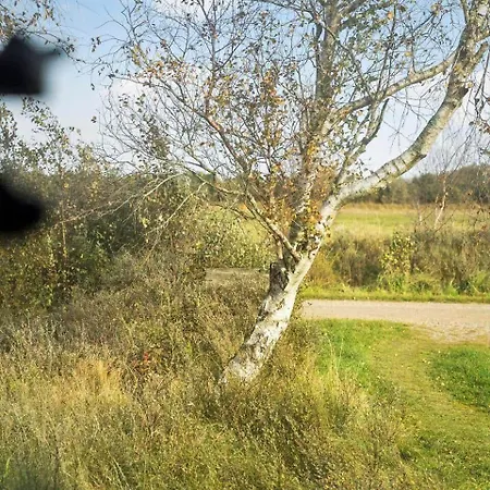 0009-romo-thadesvej-37 Semesterbostad *