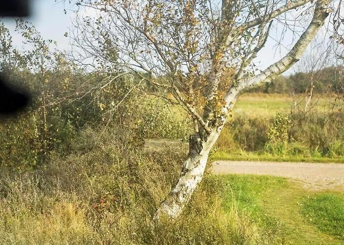 0009-romo-thadesvej-37 Дом отдыха *